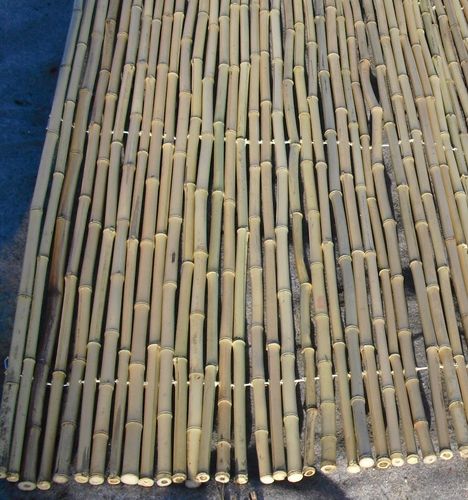 Bambuszaun 100 x 250 cm, Durchmesser 18/20 mm